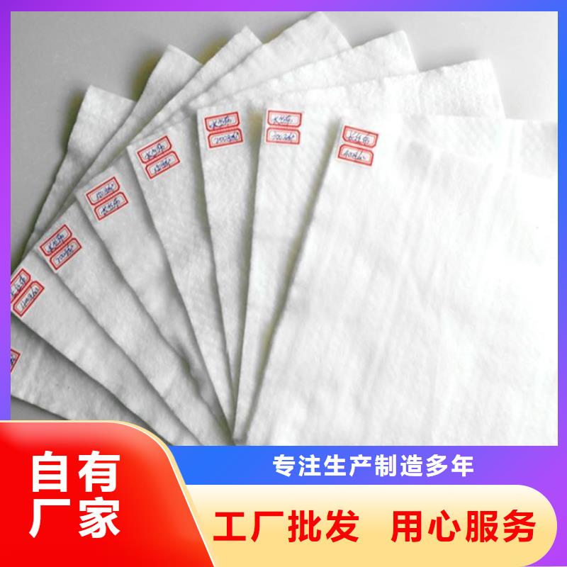 土工布【钢塑土工格栅】免费寄样