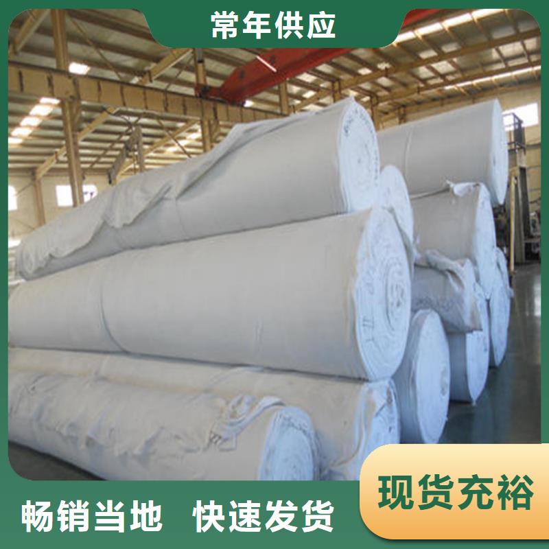 土工布玻璃纤维土工格栅厂家直销货源充足