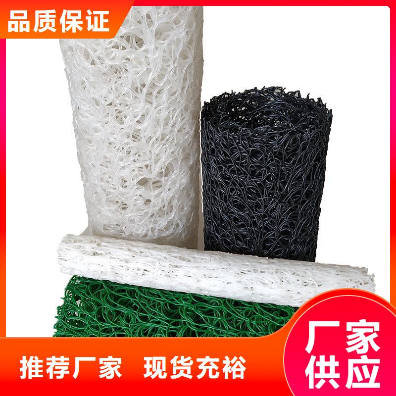 塑料盲沟HDPE土工膜N年大品牌