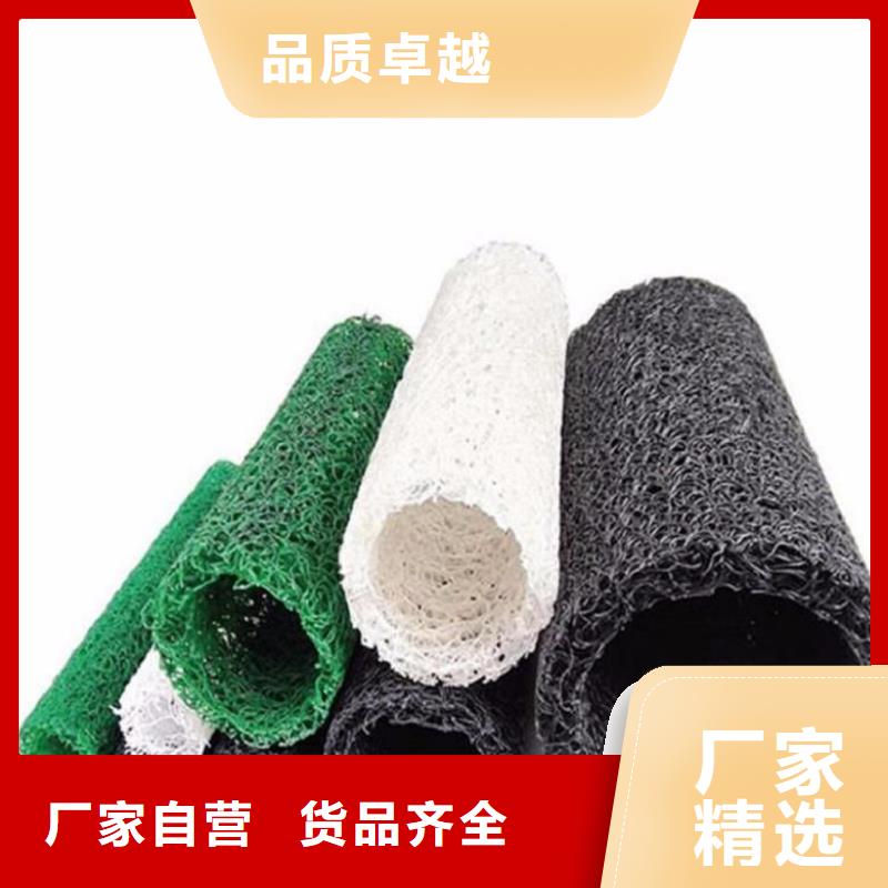 塑料盲沟钢塑格栅库存量大