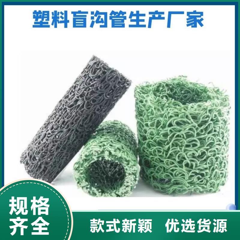 塑料盲沟HDPE土工膜N年大品牌
