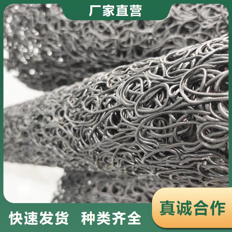 塑料盲沟HDPE土工膜N年大品牌