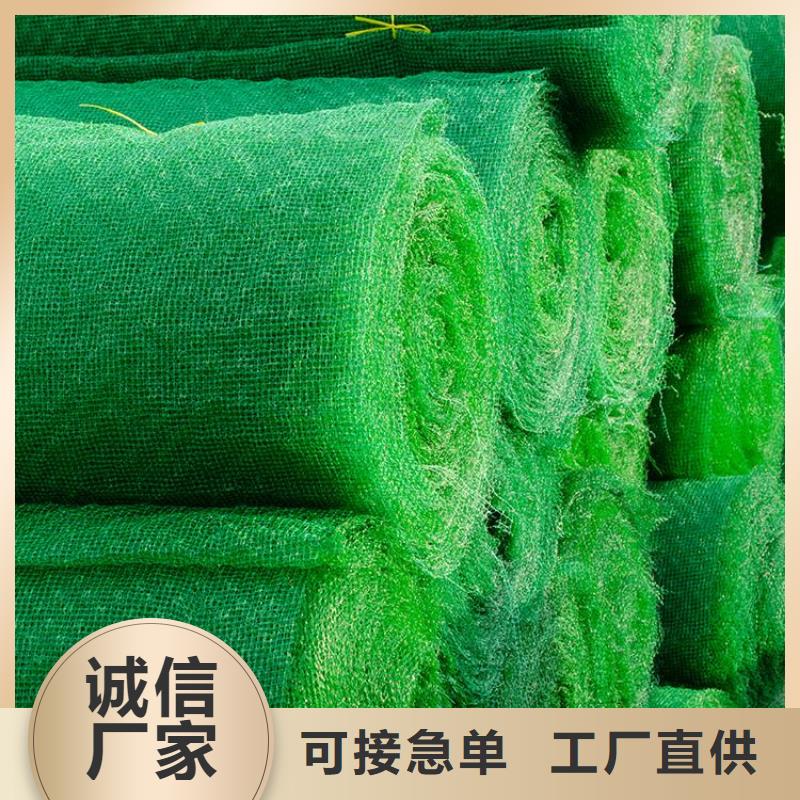 【三维植被网土工格栅常年出售】