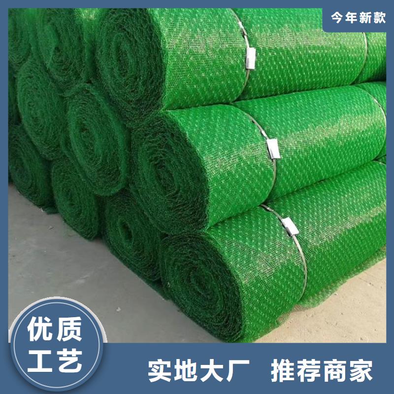 三维植被网无纺布厂家大量现货