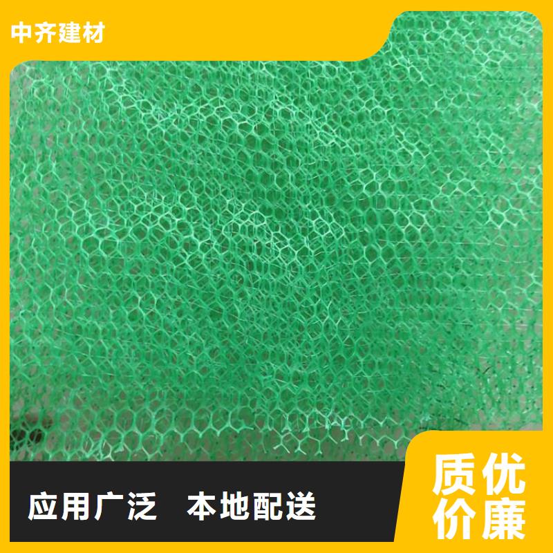 三维植被网无纺布厂家大量现货