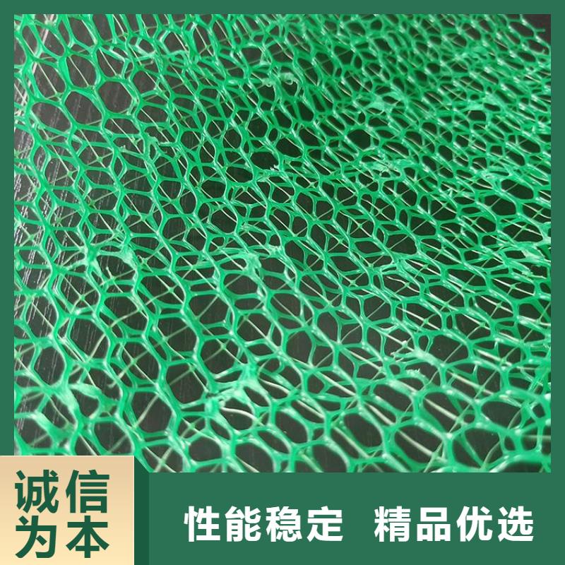 三维植被网编织布优选原材