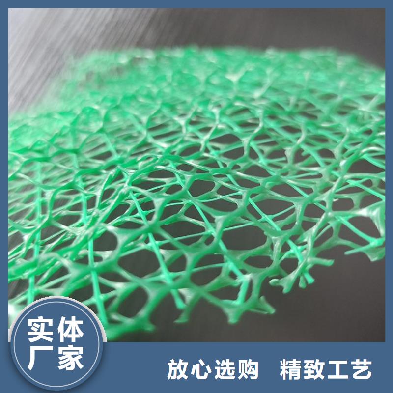 【三维植被网_塑料土工格栅好产品放心购】