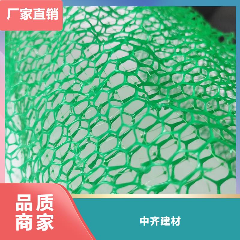【三维植被网】HDPE土工膜定制批发