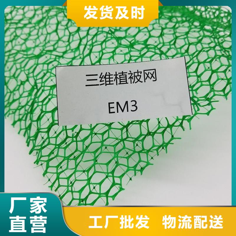 三维植被网防水毯质量优价格低
