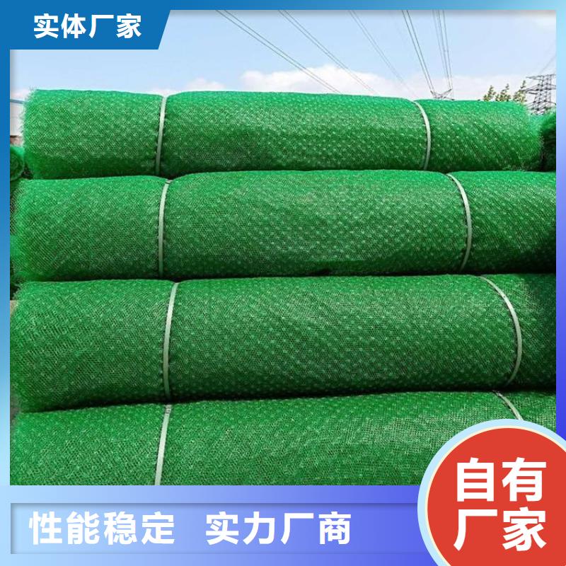 【三维植被网】排水板品质保障价格合理