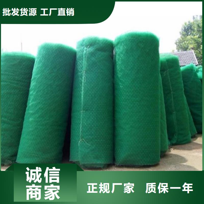 三维植被网无纺布厂家大量现货