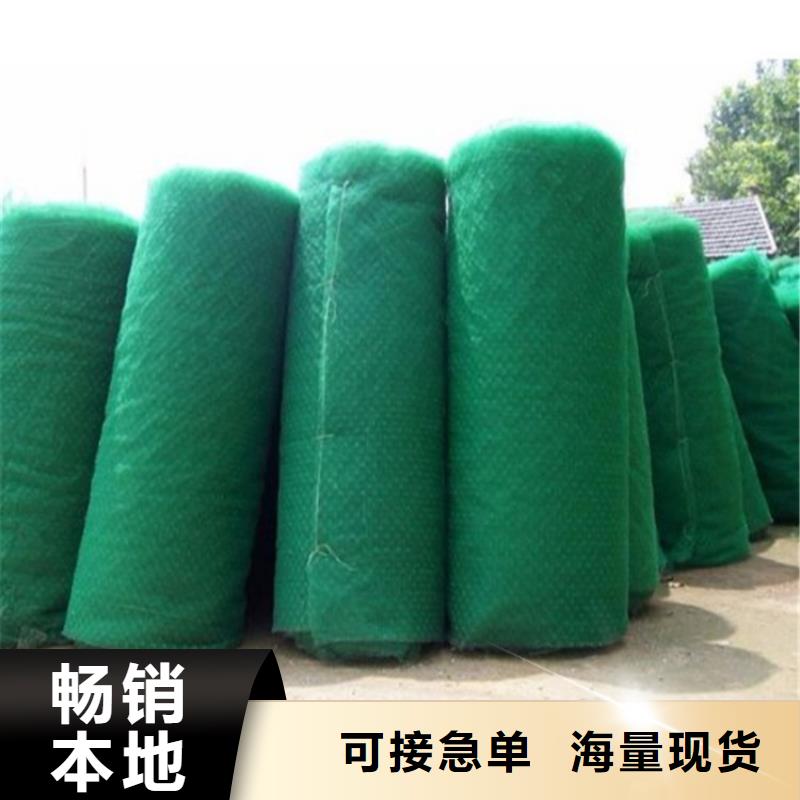 三维植被网生态带产地货源