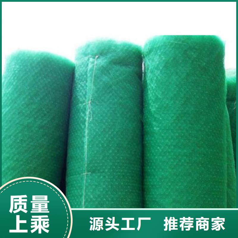 【三维植被网】土工格室生产安装
