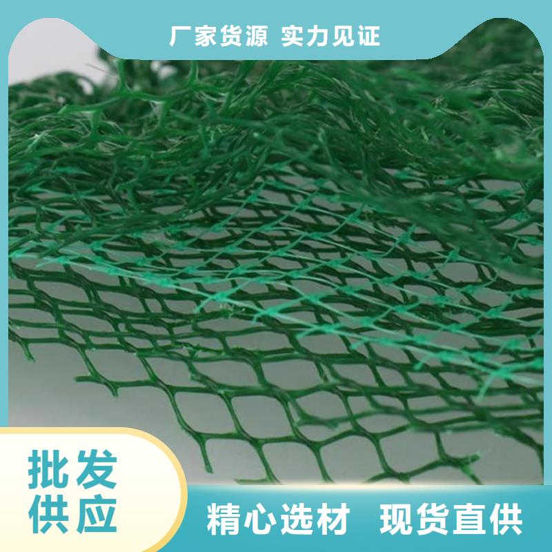 三维植被网土工膜源头实体厂商