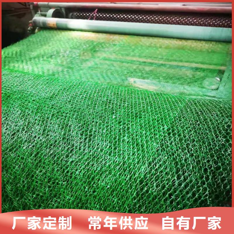 三维植被网无纺布厂家大量现货
