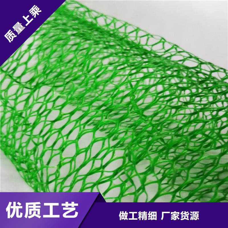三维植被网土工膜源头实体厂商