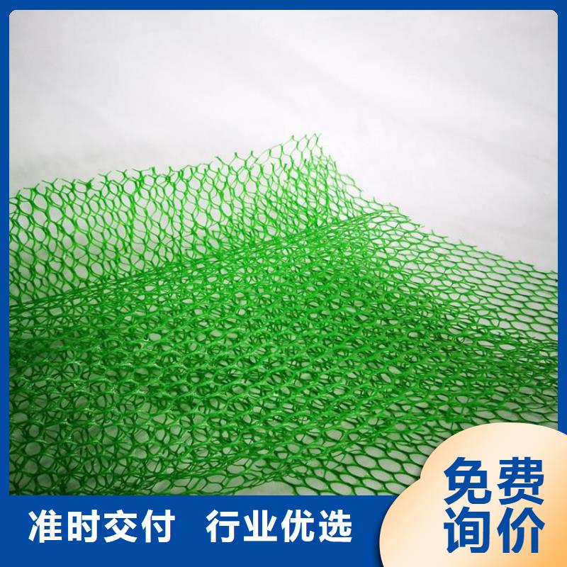 【三维植被网_塑料土工格栅好产品放心购】