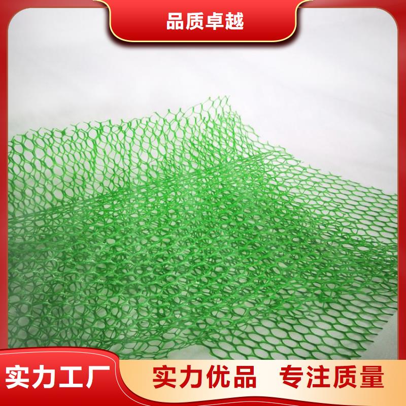 三维植被网【土工布】产地源头好货