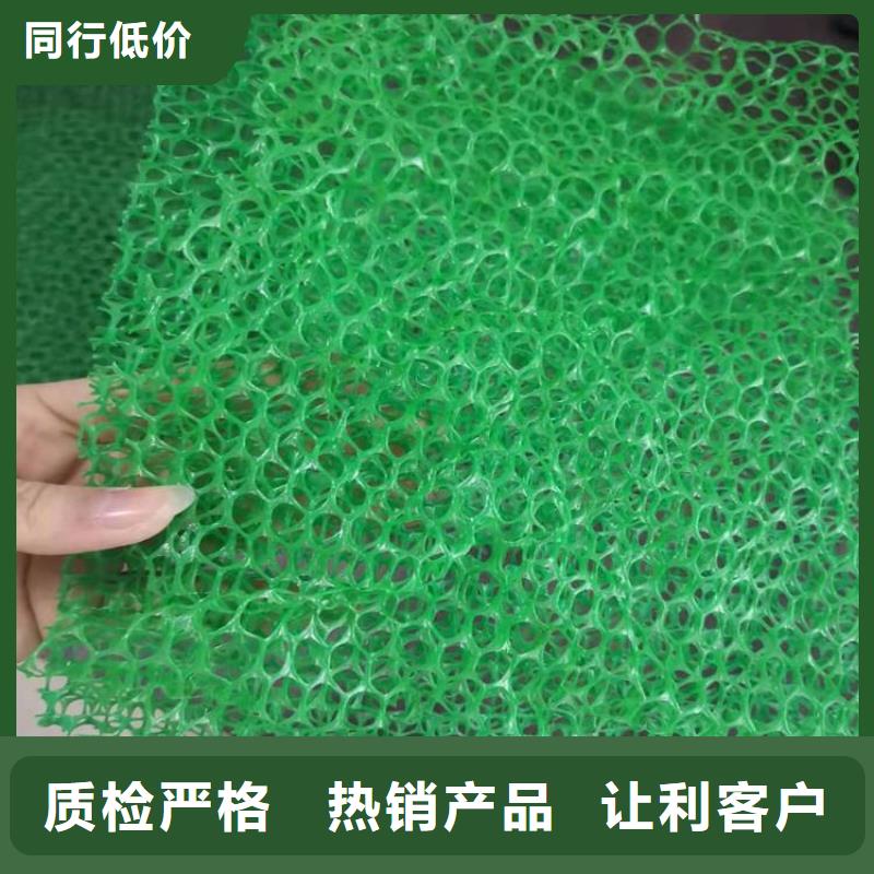 三维植被网止水条按需定制真材实料