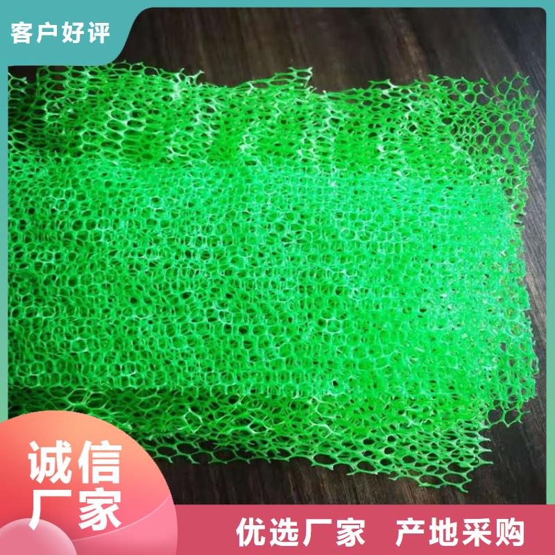 三维植被网编织布优选原材