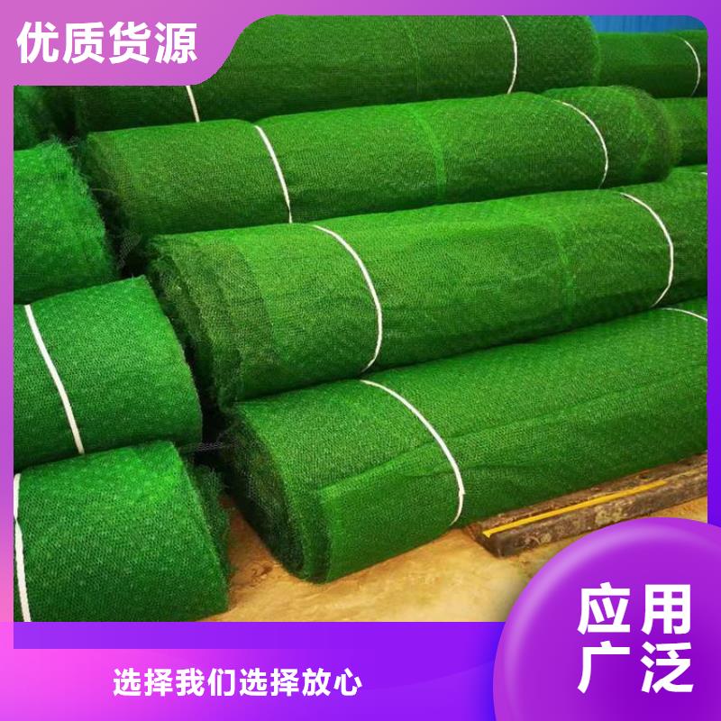三维植被网【防裂贴】价格实惠