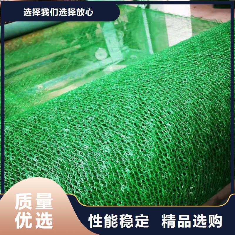 三维植被网土工膜源头实体厂商