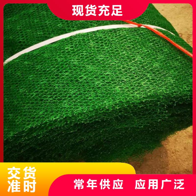 【三维植被网土工布N年专注】