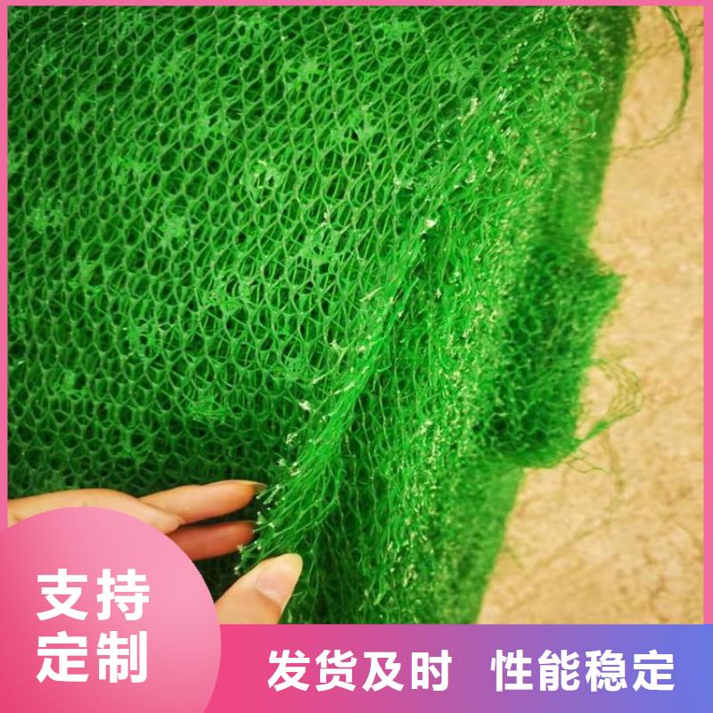三维植被网,编织布优选厂家