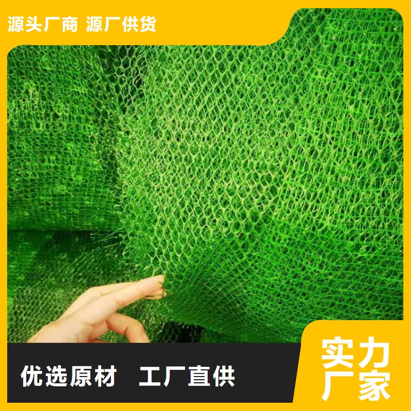 三维植被网生态带产地货源