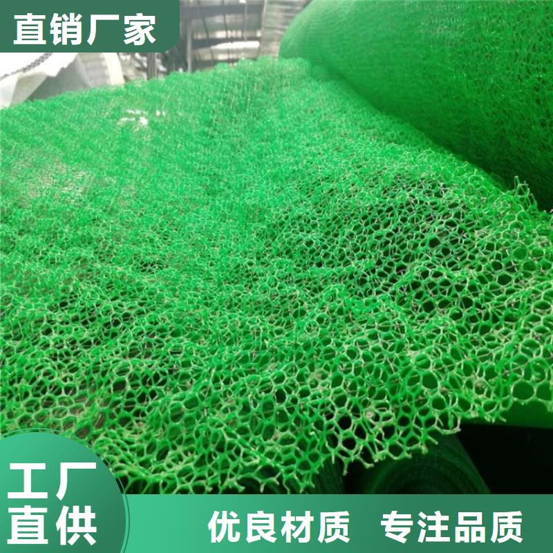 三维植被网-防渗膜品质服务诚信为本