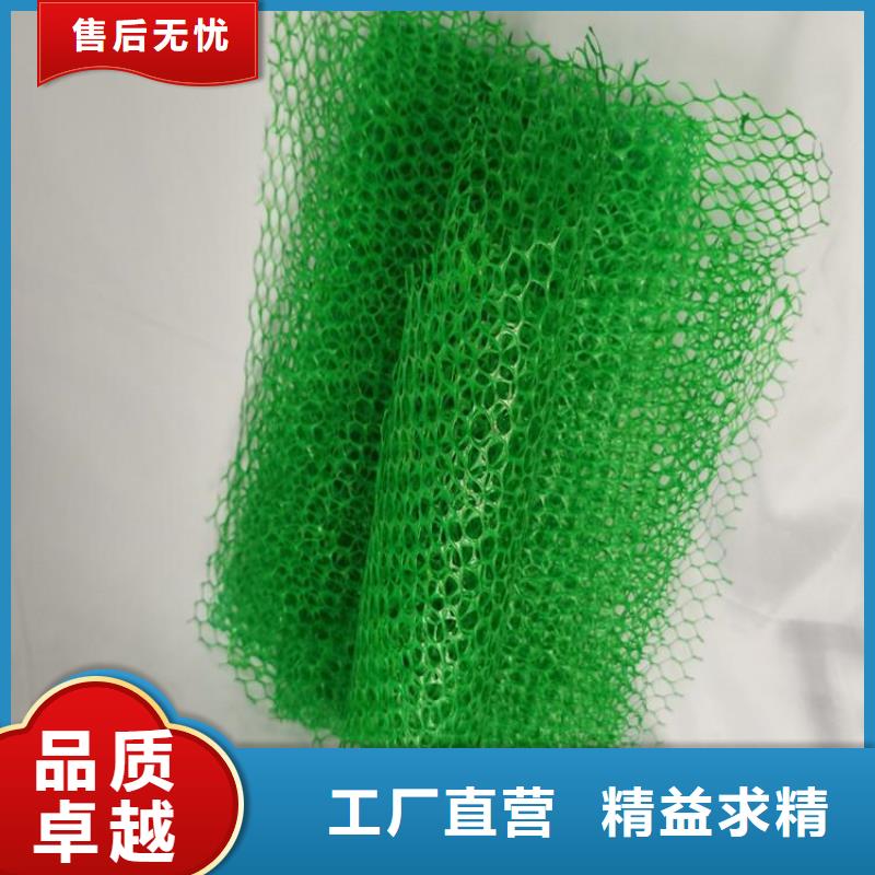 三维植被网无纺布厂家大量现货