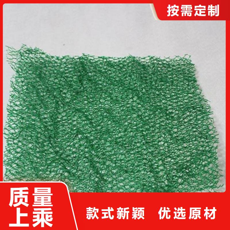【三维植被网】排水板品质保障价格合理