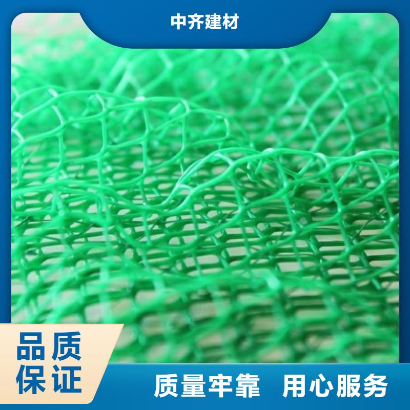 三维植被网【防裂贴】价格实惠