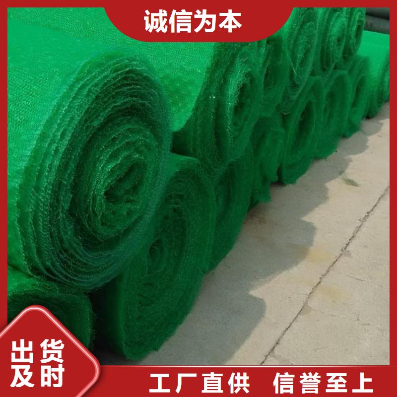 三维植被网防水板当地货源
