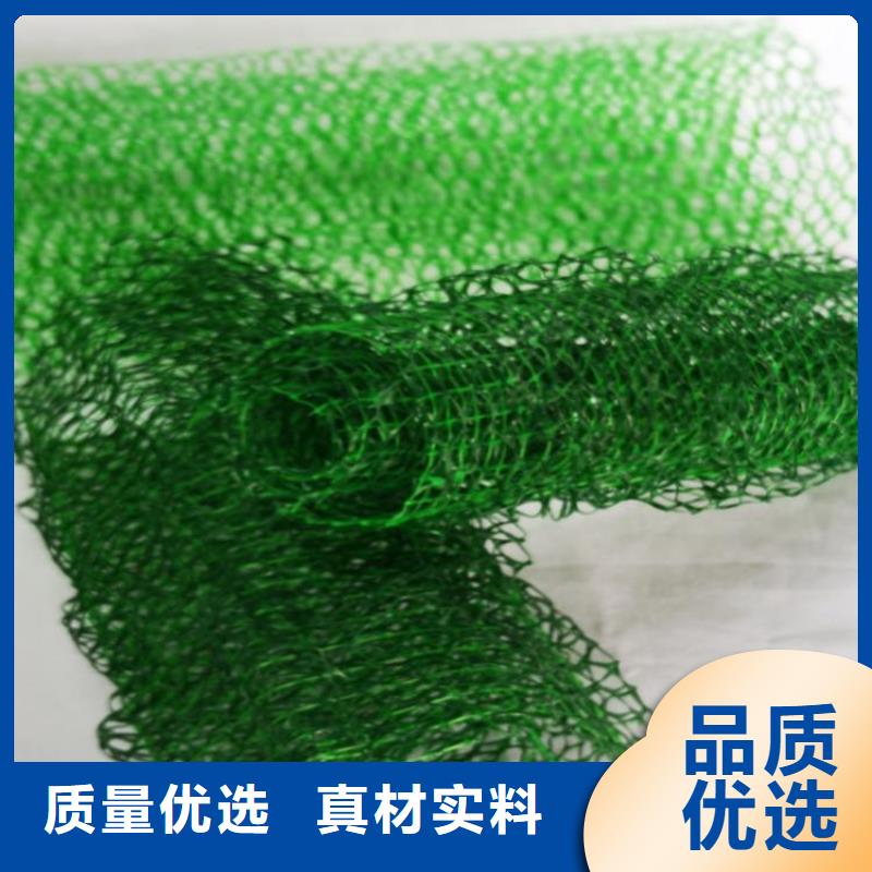 【三维植被网土工格栅常年出售】
