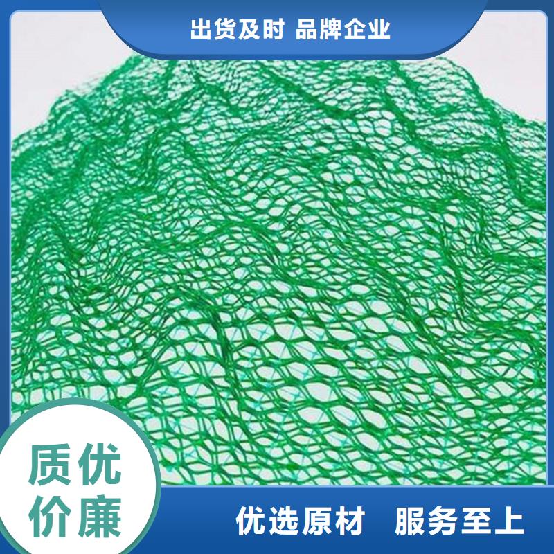 【三维植被网】土工格栅供您所需