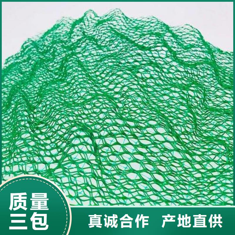 三维植被网土工膜源头实体厂商
