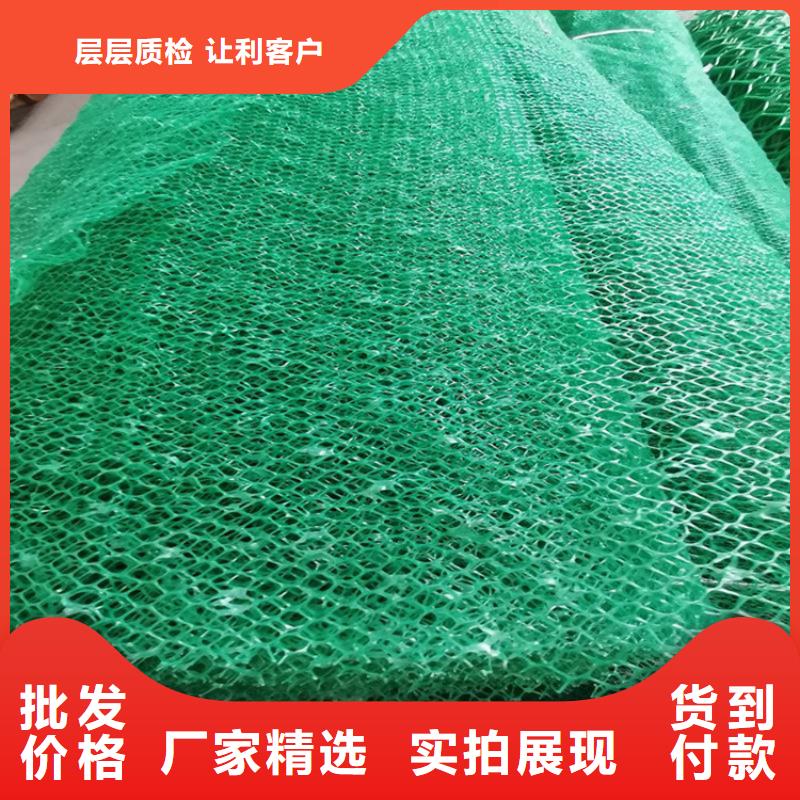 三维植被网_土工膜支持加工定制
