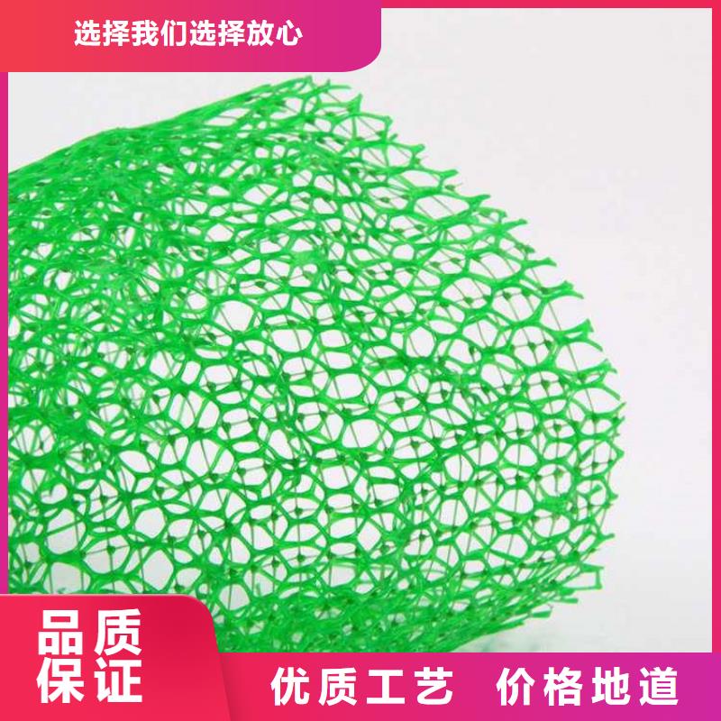 【三维植被网_塑料土工格栅好产品放心购】