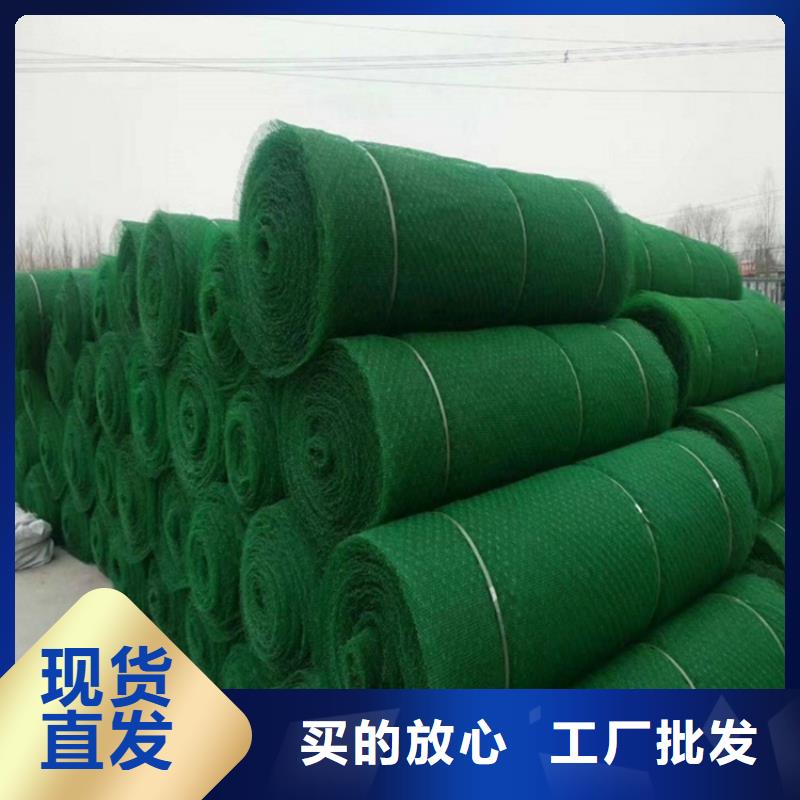 三维植被网生态带产地货源