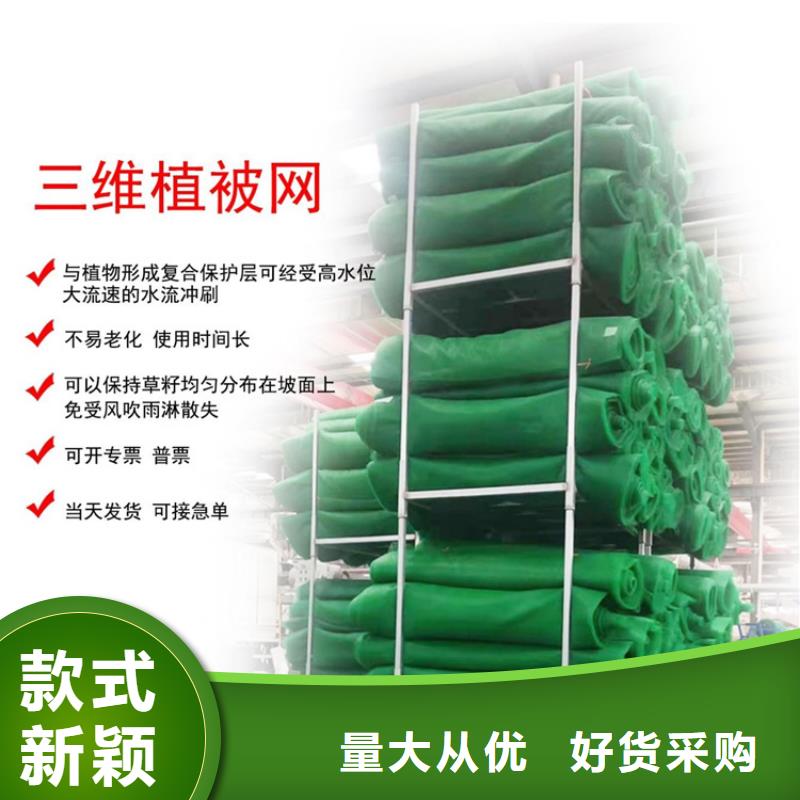 三维植被网_土工材料客户满意度高