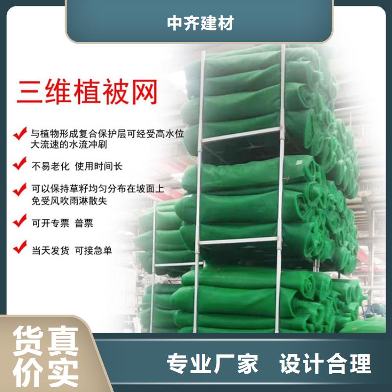 三维植被网止水条按需定制真材实料