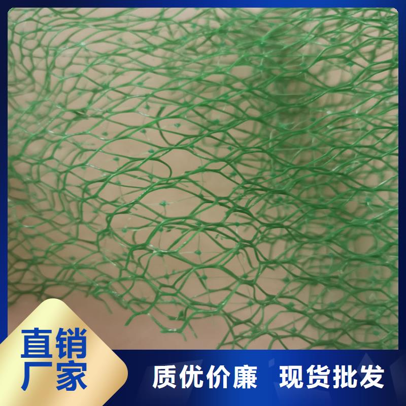 三维植被网,编织布优选厂家