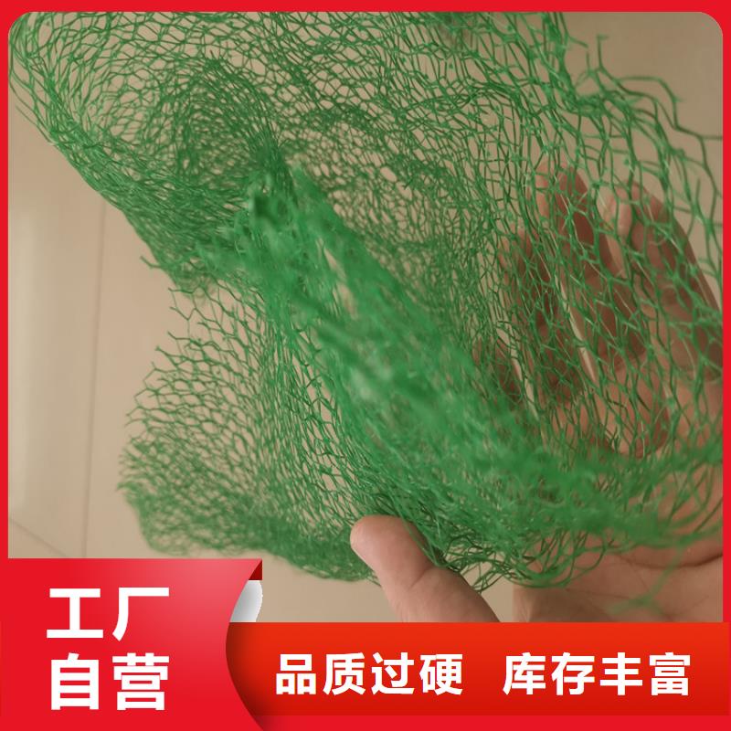 三维植被网【玻纤土工格栅】畅销本地