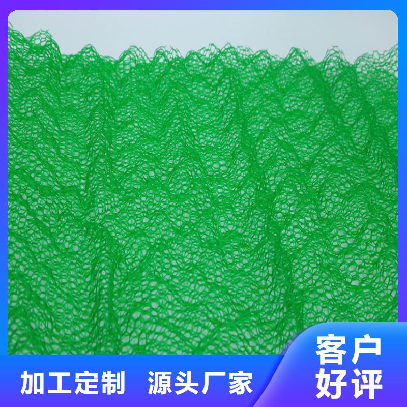 【三维植被网涤纶格栅厂家直销大量现货】