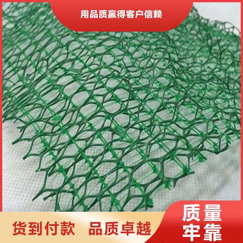 【三维植被网涤纶格栅厂家直销大量现货】