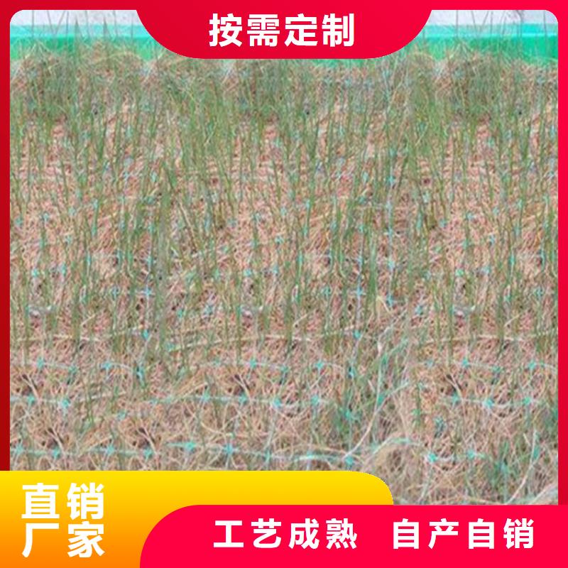 【椰丝毯】土工网垫专注生产N年