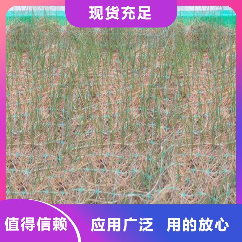 椰丝毯-土工膜专业信赖厂家