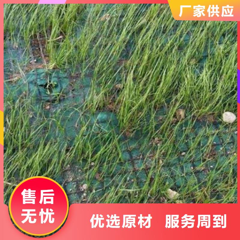 椰丝毯HDPE土工膜贴心服务