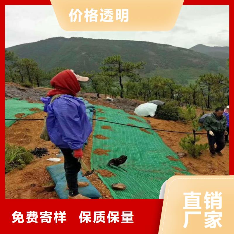 椰丝毯,土工网垫快速发货